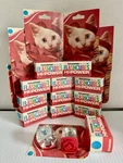 Vintage Sylvania Blue Dot Flashcubes Hi-power Lot 12 Packs / 24 Polaroid. Fixed Price $20.00.