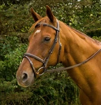 Henri De Rivel Pro Mono Crown Bridle With Flash And Rubber Reins. Fixed Price $84.79.