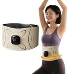 Pulse Waist Massage Heating Abdomen Fat Burning Sweating Belt Ems. Fixed Price $43.31.