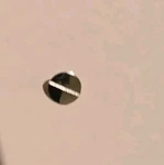 Leica 111F Cover Screw-rangefinder Adj. (front). Fixed Price $55.00.